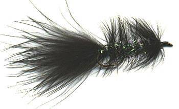 leach flys